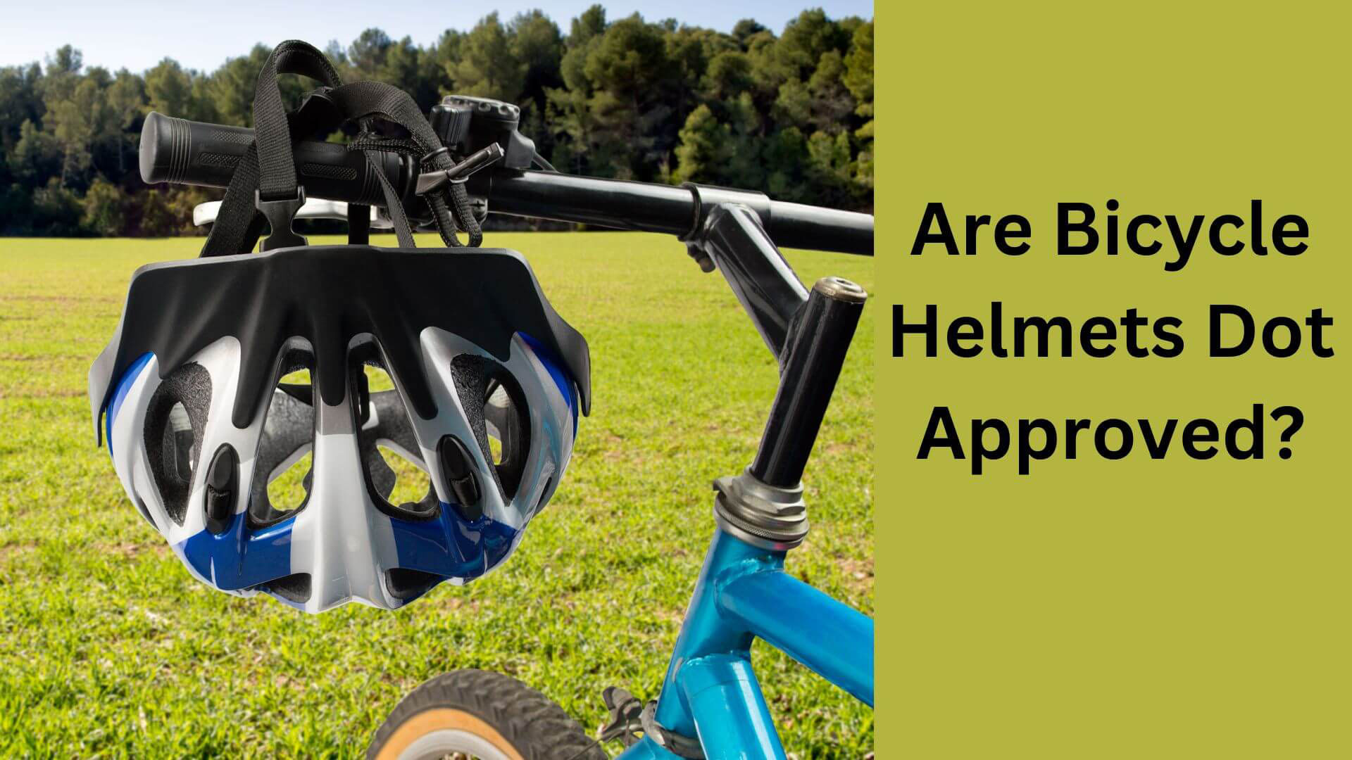 Are Bicycle Helmets Dot Approved?
